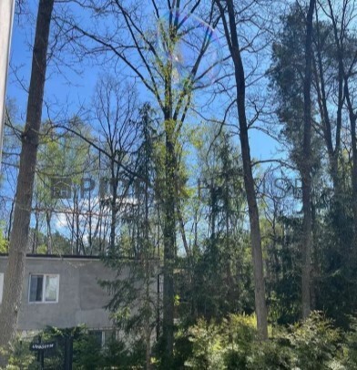 3-pokojowe mieszkanie w dzielnicy Wesoła miniaturka 13