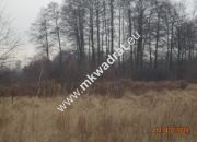 Korabiewice, 171 000 zł, 14.35 ar, budowlana miniaturka 1