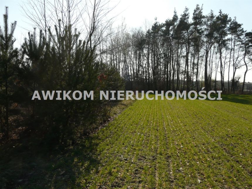 Rzymiec, 270 000 zł, 40 ar, przyłącze elektryczne miniaturka 7