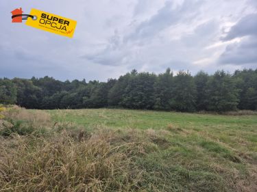 Wiśnicz Mały, 92 650 zł, 1.09 ha, rolna