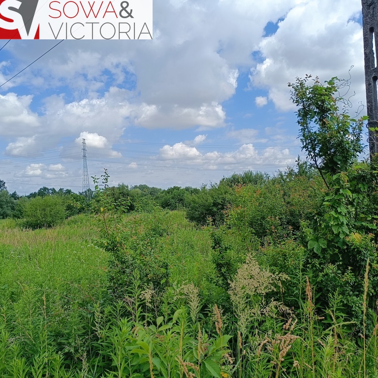 Działka rolna na obrzeżach Świebodzic. miniaturka 7