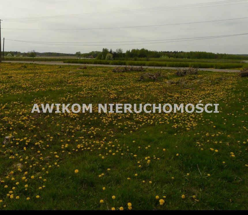 Wycinka Wolska, 124 020 zł, 1.03 ha, rolna miniaturka 2