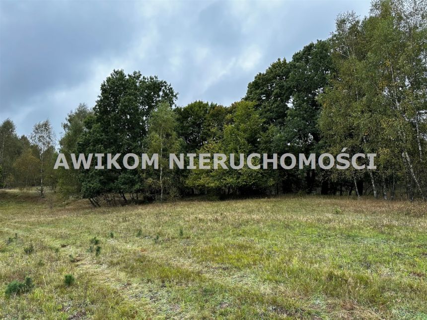 Miastko, 9 490 000 zł, 50 ha, studnia miniaturka 8