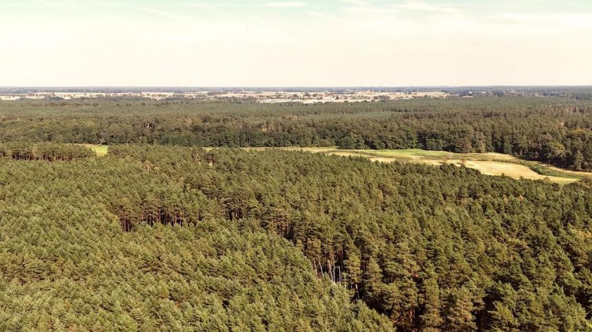 Działka budowlana w Strumianach - bliskość natury miniaturka 9