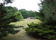 DZIAŁKA GRANICZĄCA Z PUSZCZĄ ZIELONKĄ miniaturka 1
