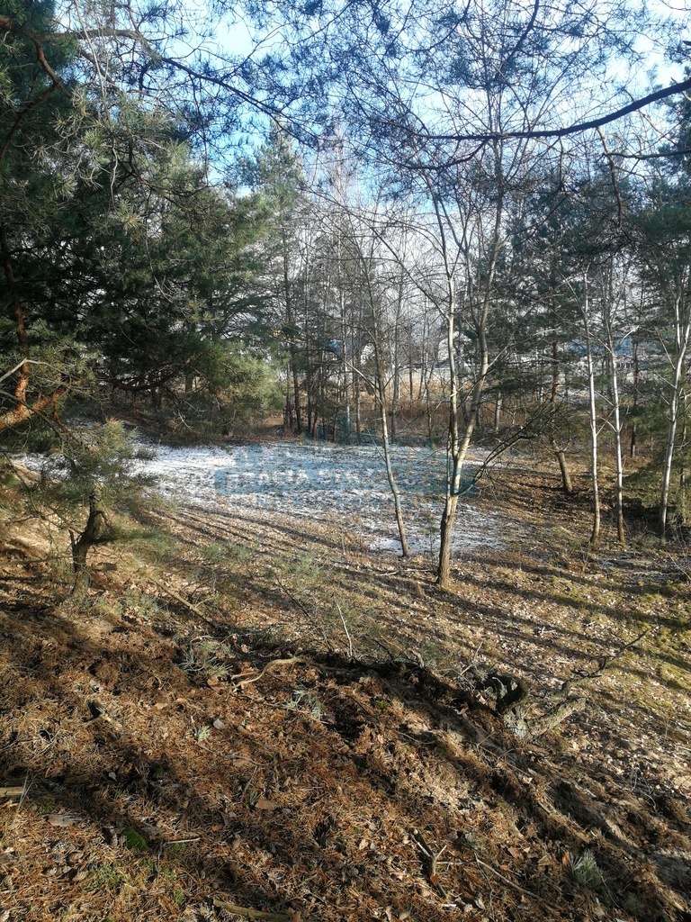 Izabelin-Dziekanówek, 1 275 000 zł, 1.7 ha, przyłącze wody miniaturka 2