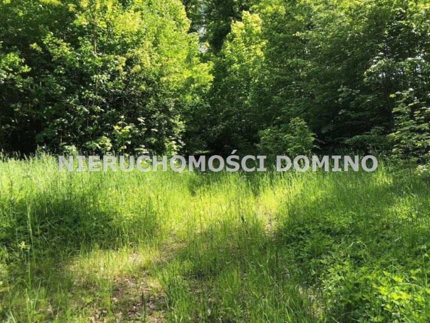 Dobra, 42 000 zł, 5.01 ar, woda w drodze miniaturka 1
