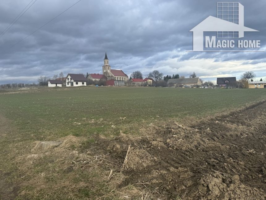 Działka w Ratajnie miniaturka 4