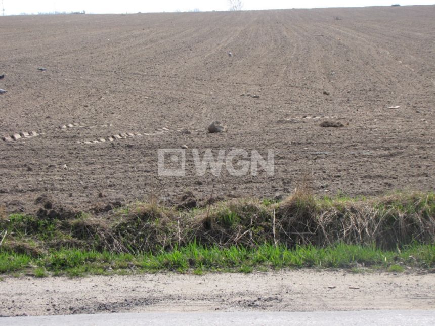 Tuszyn, 11 000 000 zł, 9.2 ha, droga dojazdowa asfaltowa miniaturka 4