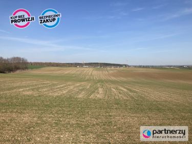 Ulkowy, 25 433 400 zł, 16.96 ha, droga dojazdowa asfaltowa
