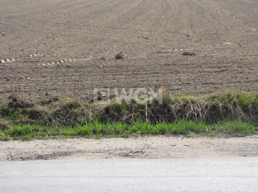 Tuszyn, 11 000 000 zł, 9.2 ha, droga dojazdowa asfaltowa miniaturka 3