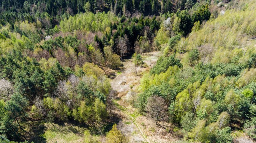 Na sprzedaż gospodarstwo rolne w Jastrzębi miniaturka 8