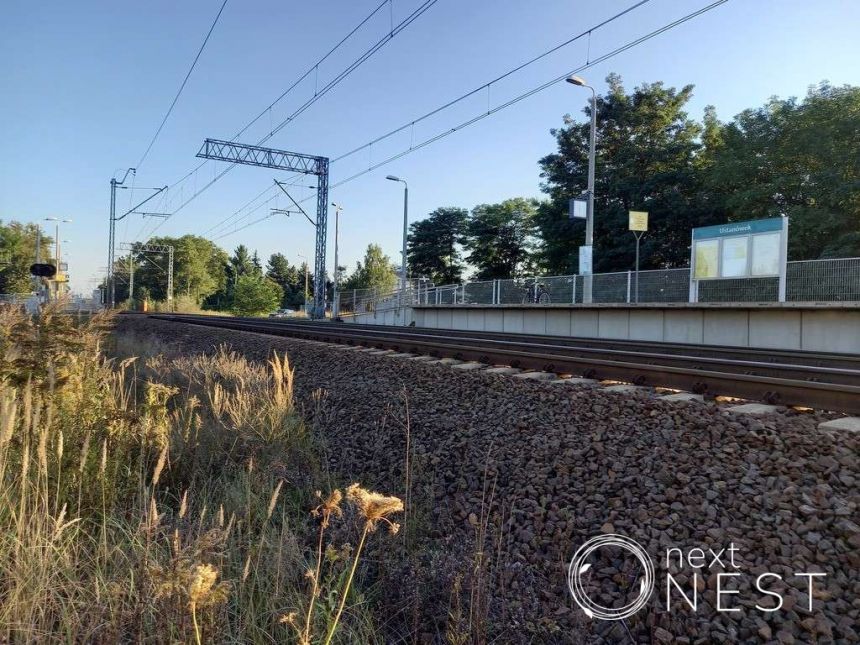 Krępa, 455 000 zł, 100 m2, z cegły miniaturka 12