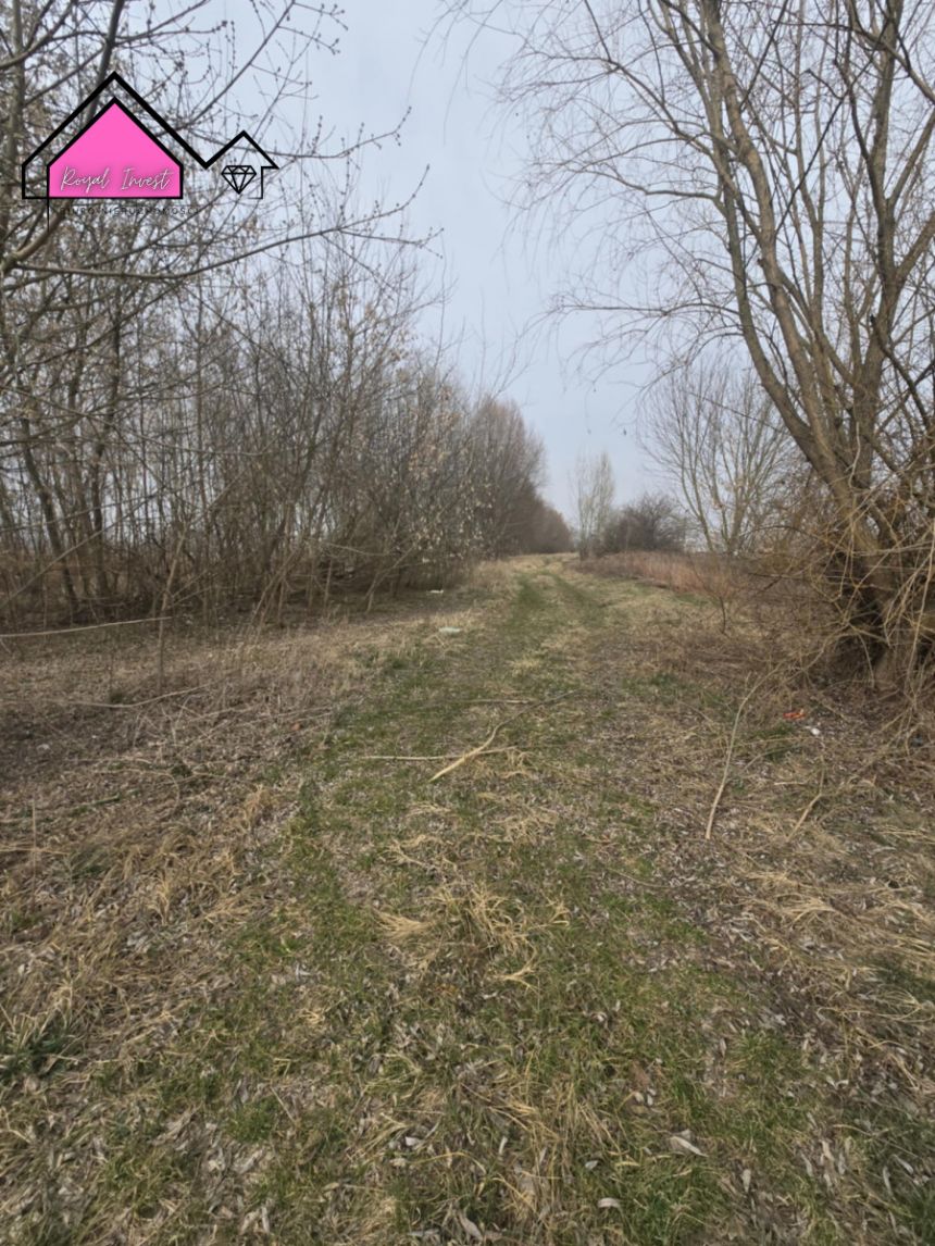 Konin Pociejewo, 315 000 zł, 81.56 ar, usługowa miniaturka 11