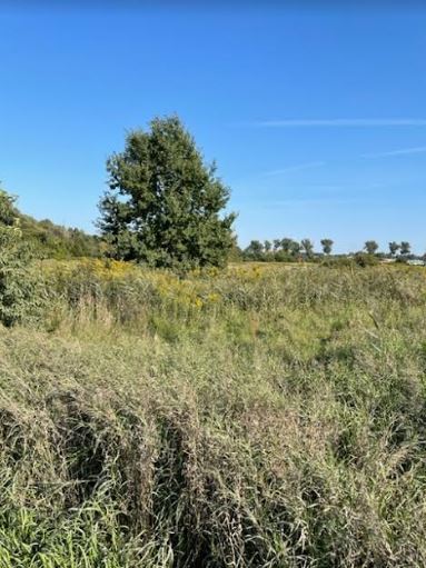 9900 m² – usługi, przemysł, zabudowa mieszkaniowa. miniaturka 2