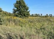 9900 m² – usługi, przemysł, zabudowa mieszkaniowa. miniaturka 2