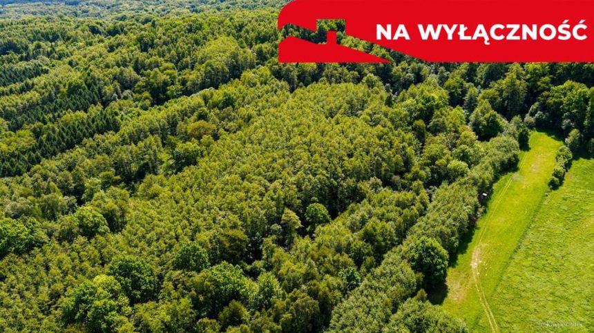 Działka leśna w Skrzyszowie miniaturka 4