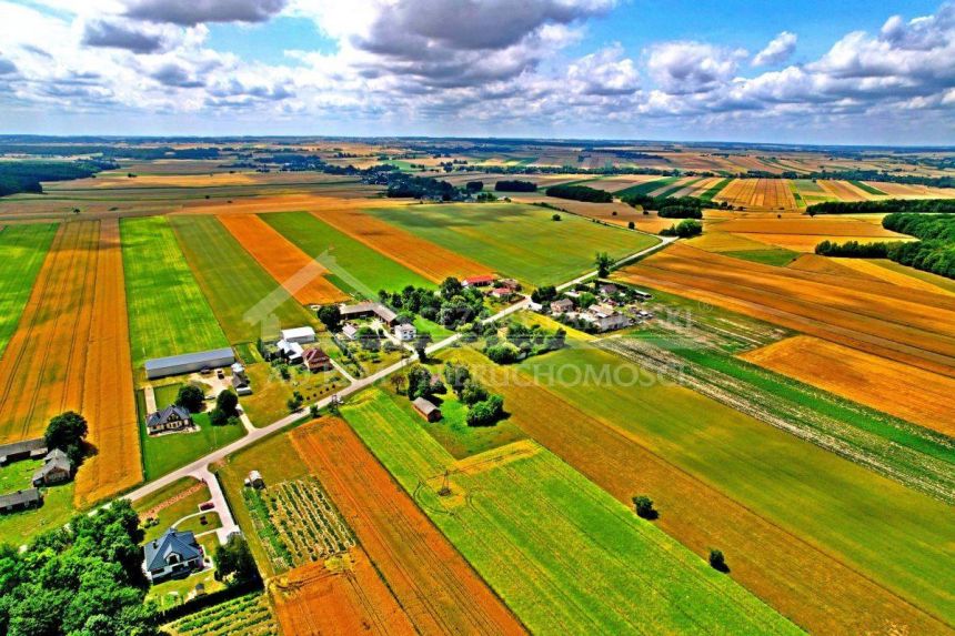 Józwów, 3000 mkw., miniaturka 5