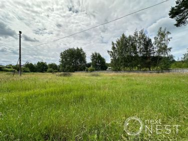 Borowina, 3 962 500 zł, 1.2 ha, droga dojazdowa asfaltowa