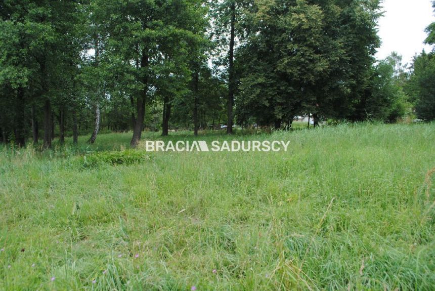 Atrakcyjna  nieruchomość w Swoszowicach miniaturka 10