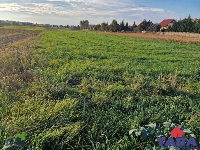 Działka budowlana w Gąsawie miniaturka 6