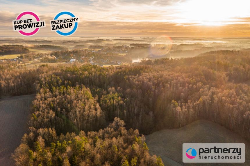 Podjazy, 649 000 zł, 8.76 ha, siedliskowa miniaturka 6