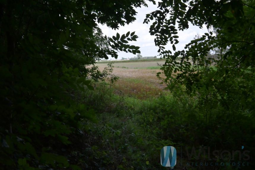 Zakrzew, 190 000 zł, 1.63 ha, droga dojazdowa asfaltowa miniaturka 3