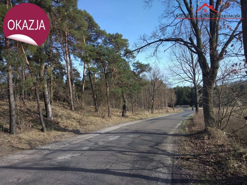 Działka w Czarnym Błocie - zdjęcie 1