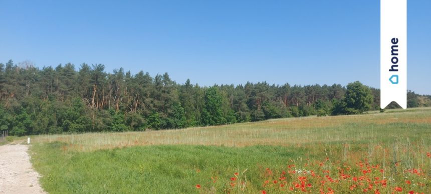 Działka - Nowy Witoszyn - przy Lesie - zdjęcie 1