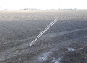 Działka rolna do wynajęcia 9730 m² 0,46 gr.za m² miniaturka 3