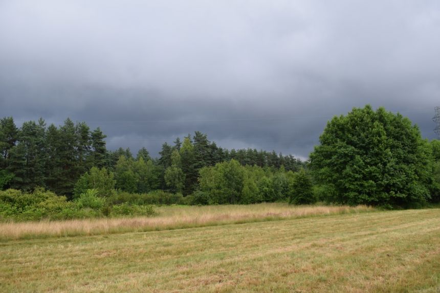 Działka budowlana 39a w Budach Głogowskich miniaturka 7