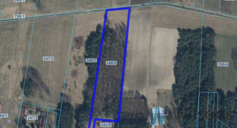 Lipa, 150 000 zł, 85.2 ar, budowlana miniaturka 3