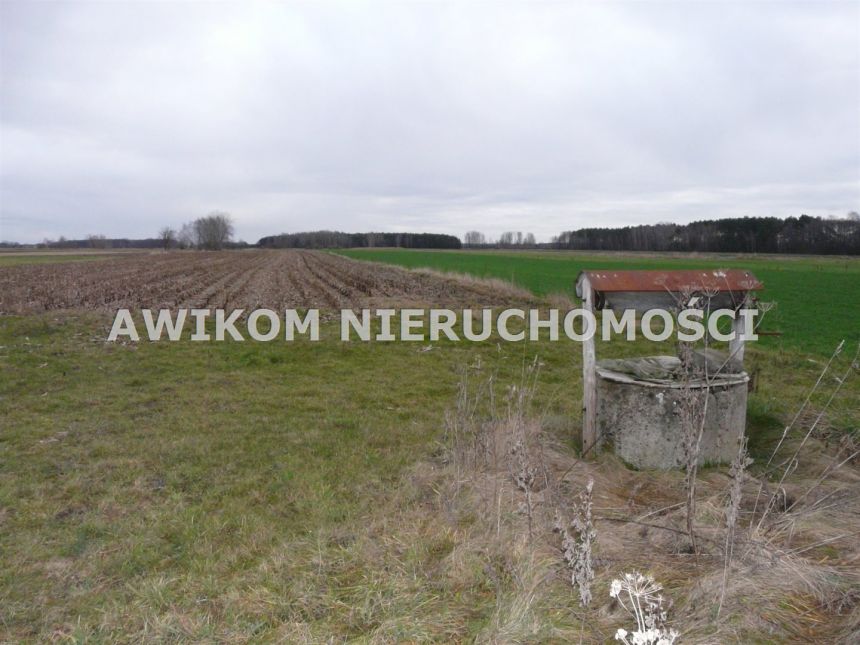 Ziąbki, 212 000 zł, 1.06 ha, budowlana miniaturka 3