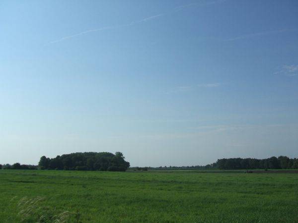Luciny, 134 400 zł, 8.4 ar, budowlana miniaturka 1