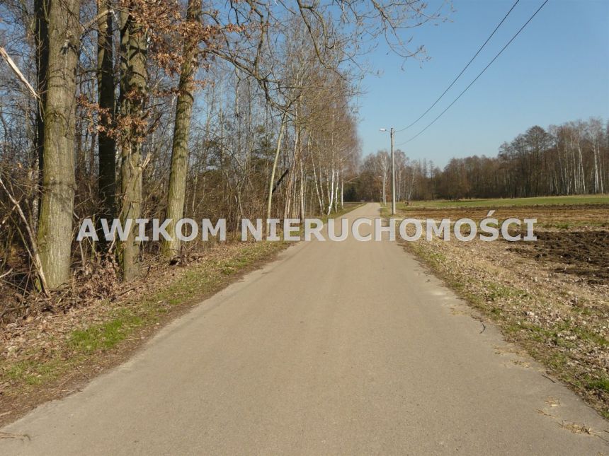Rzymiec, 270 000 zł, 40 ar, budowlana - zdjęcie 1