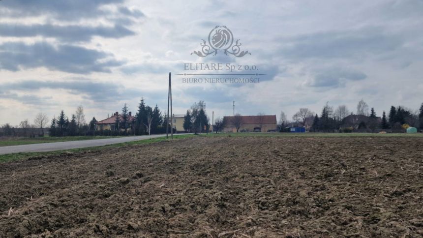 Działka siedliskowa 3000m2 z MPZP gm. Kąty Wrocławskie, Sokolniki miniaturka 4