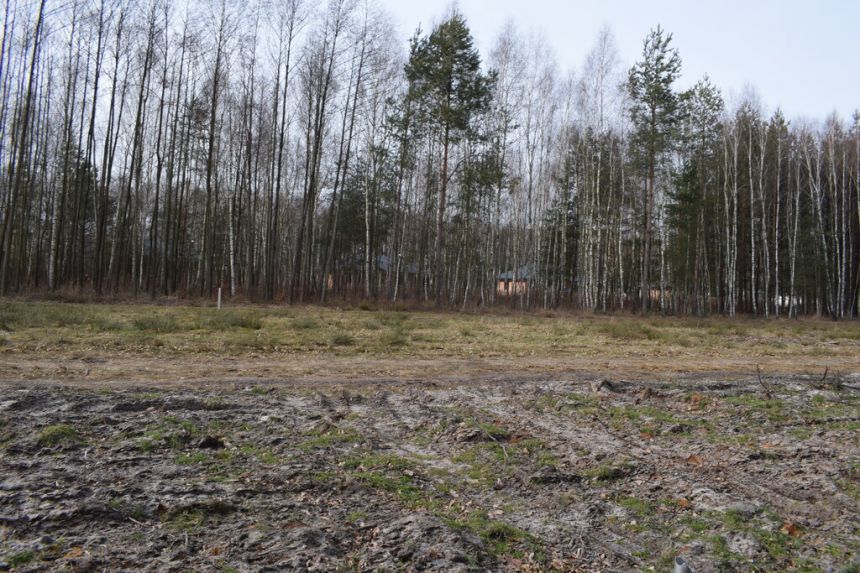 Działki 10a pod zabudowę pod lasem- Widełka miniaturka 3
