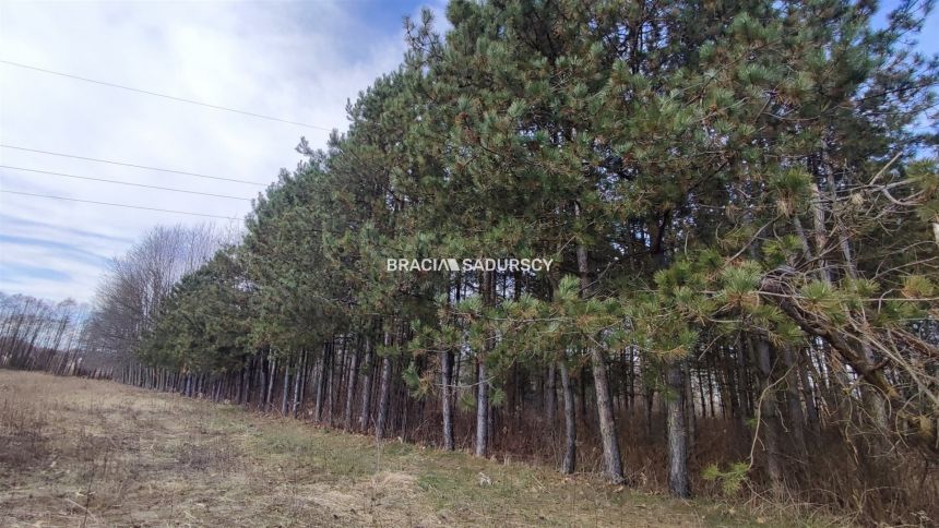 Borek Szlachecki, 585 000 zł, 54.97 m2, do wykończenia miniaturka 20
