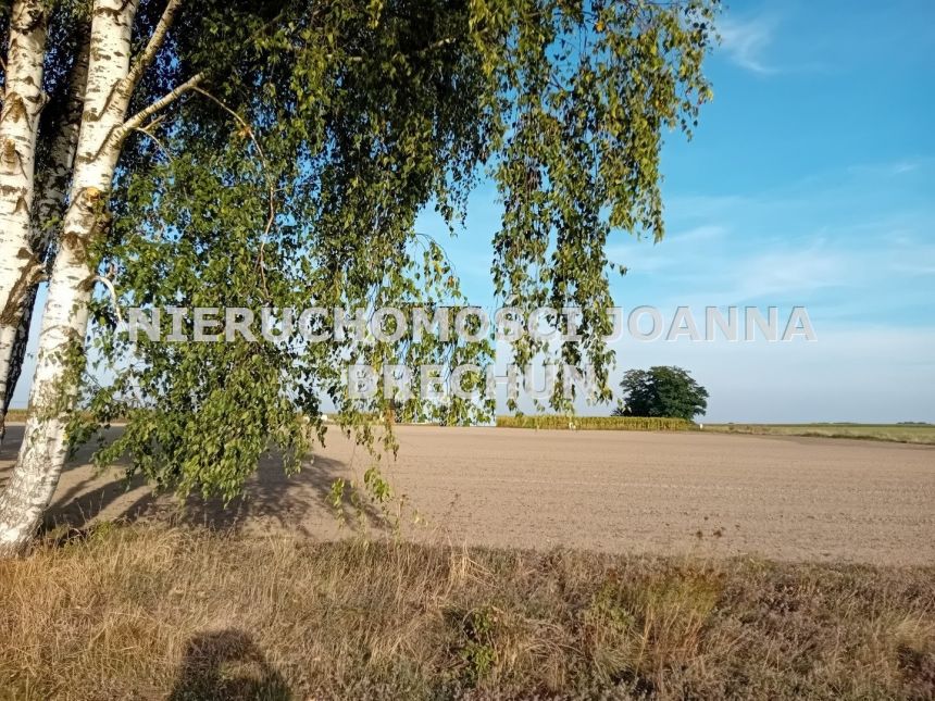 Nieciszów, 205 000 zł, 10 ar, przyłącze wodociągu miniaturka 6