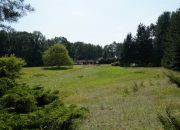 DZIAŁKA GRANICZĄCA Z PUSZCZĄ ZIELONKĄ miniaturka 12