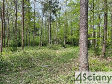 Podkowa Leśna, 2 400 000 zł, 27.61 ar, płaska