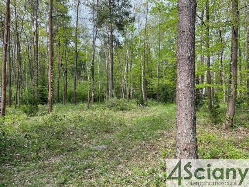Podkowa Leśna, 2 400 000 zł, 27.61 ar, płaska - zdjęcie 1