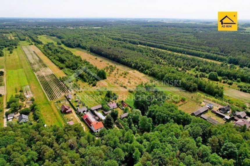 Kazimierz Dolny Siedliskowa Las rekreacja miniaturka 2