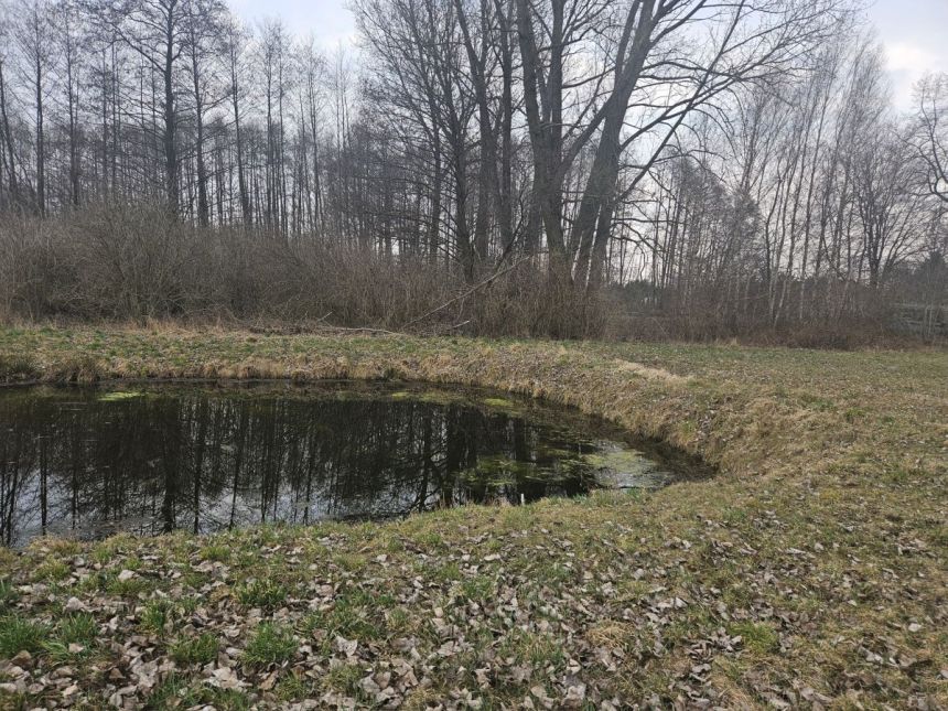 Sanie, 750 000 zł, 2.51 ha, przyłącze prądu miniaturka 7
