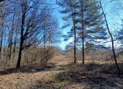 Działka z pozwoleniem w granicy parku, Płaza miniaturka 5