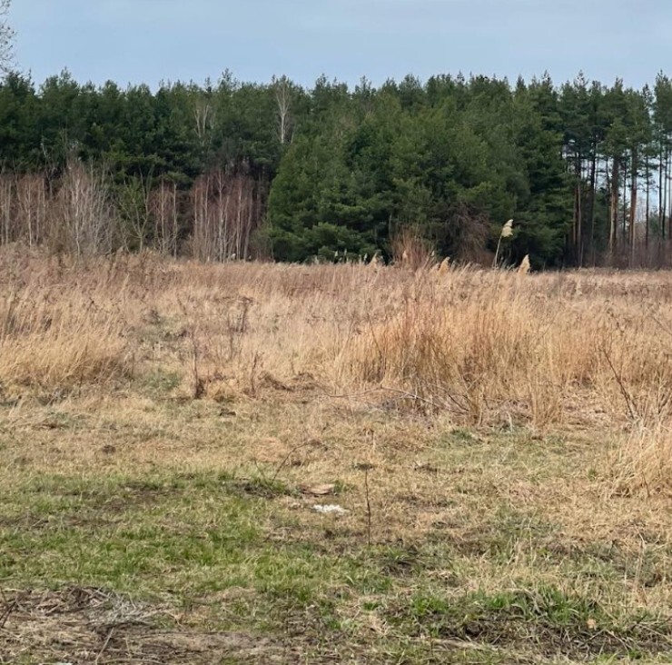 Działka budowlana 4113 m² w Sierakowie. miniaturka 3