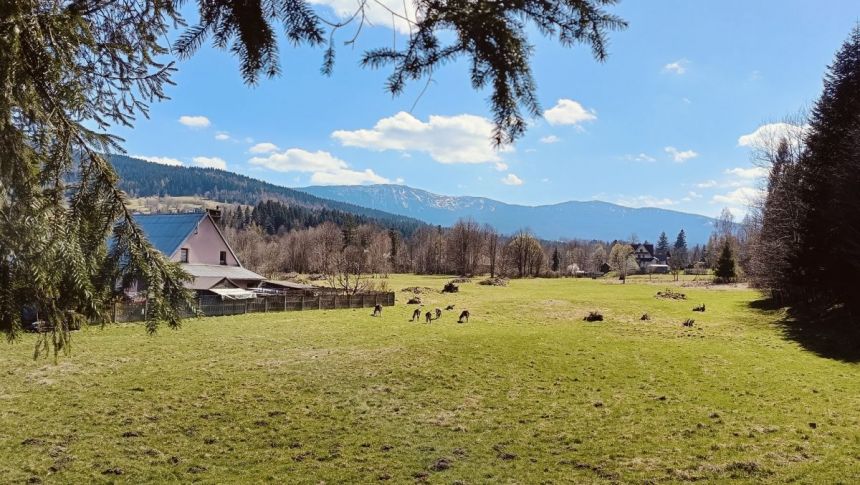 Zawoja, 450 000 zł, 56.33 m2, 3 pokoje - zdjęcie 1