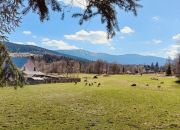 Zawoja, 450 000 zł, 56.33 m2, 3 pokoje miniaturka 1