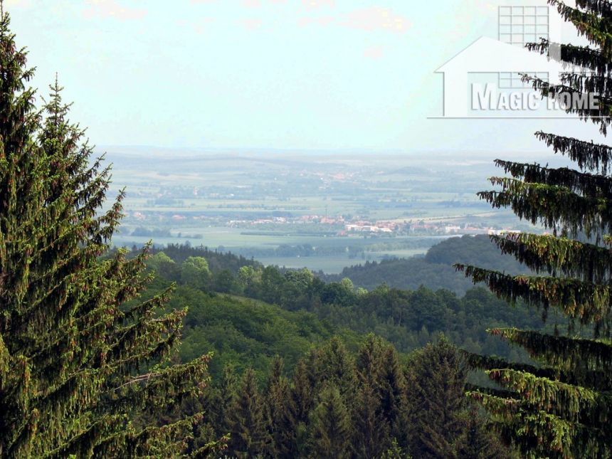 Działka rolna ,leśna ,rekreacja ,domki - zdjęcie 1