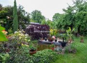 Stare Dębniki – 120 m² z ogrodem! miniaturka 5